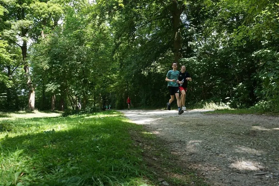Läuferinnen und Läufer auf dem Weg durch die schattige Allee