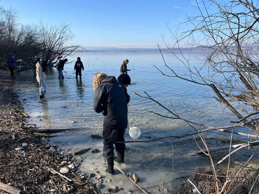 Ökologische Untersuchungen am Ammersee in Wartaweil